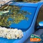 اجاره-ماشین-عروس