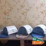 دستگاه-زردی-نوزاد-فتوتراپی-اجاره-2024