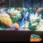 اجاره-ال-ای-دی-شهری