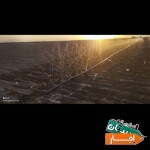 اجاره-زمین-کشاورزی
