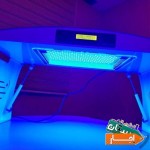اجاره-دستگاه-زردی-نوزاد-فتوتراپی-3Dو4D-شبانه-روزی
