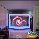 اجاره-تلویزیون-شهری-تی-وی