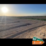 اجاره-زمین-کشاورزی