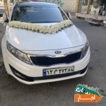 اجاره-ماشین-عروس-اپتیما-با-قیمت-توافقی