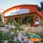 برگزاری-جلسات-دورهمی-ها-جشن-تولد-و