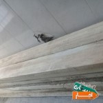 اجاره-تخته-بنایی-بشکه-داربست-چهارپایه-در-تمام-نقاط-با-قیمت-عالی