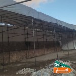 اجاره-چادر-برزنت-خیمه-نصب