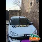 اجاره-ماشین-تشریفات