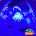 اجاره-دستگاه-زردی-نوزاد-نمایندگی-مرکزی-فردیس
