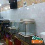 اجاره-میز-صندلی-باند-نور-تشریفات-تم-تولد