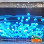 اجاره-تلویزیون-شهری-و-ویدئو-وال-استند-LED