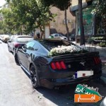 اجاره-ماشین-عروس