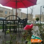 اجاره-کافی-شاپ