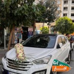 اجاره-ماشین-عروس-شرایط-مناسب