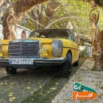 اجاره-ماشین-عروس-بنز-کلاسیک