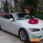 اجاره-ماشین-عروس-گل-ارایی-هدیه