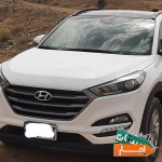 اجاره-توسان-استیجاری-سانتافه