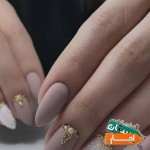 اجاره-صندلی-و-استخدام-ناخن-کار-حرفه-ای-مبتدی