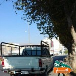 وانت-بار-باربری-تلفنی