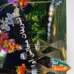 کرایه-میز-و-صندلی