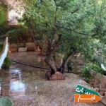 ویلا-باغ-اجاره
