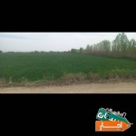 اجاره-زمین-کشاورزی