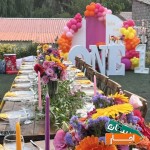 ظروف-کرایه-گل-آرایى-و-بادکنک-در-لواسان