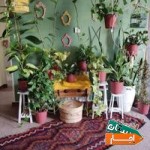 اجاره-استودیو-جهت-برگزاری-ورکشاپ-وعکاسی