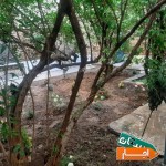 خوابگاه-پسرانه-کارمندی-و-دانشجویی-هومان